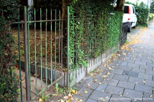 Afbeelding 6 tuinhekje