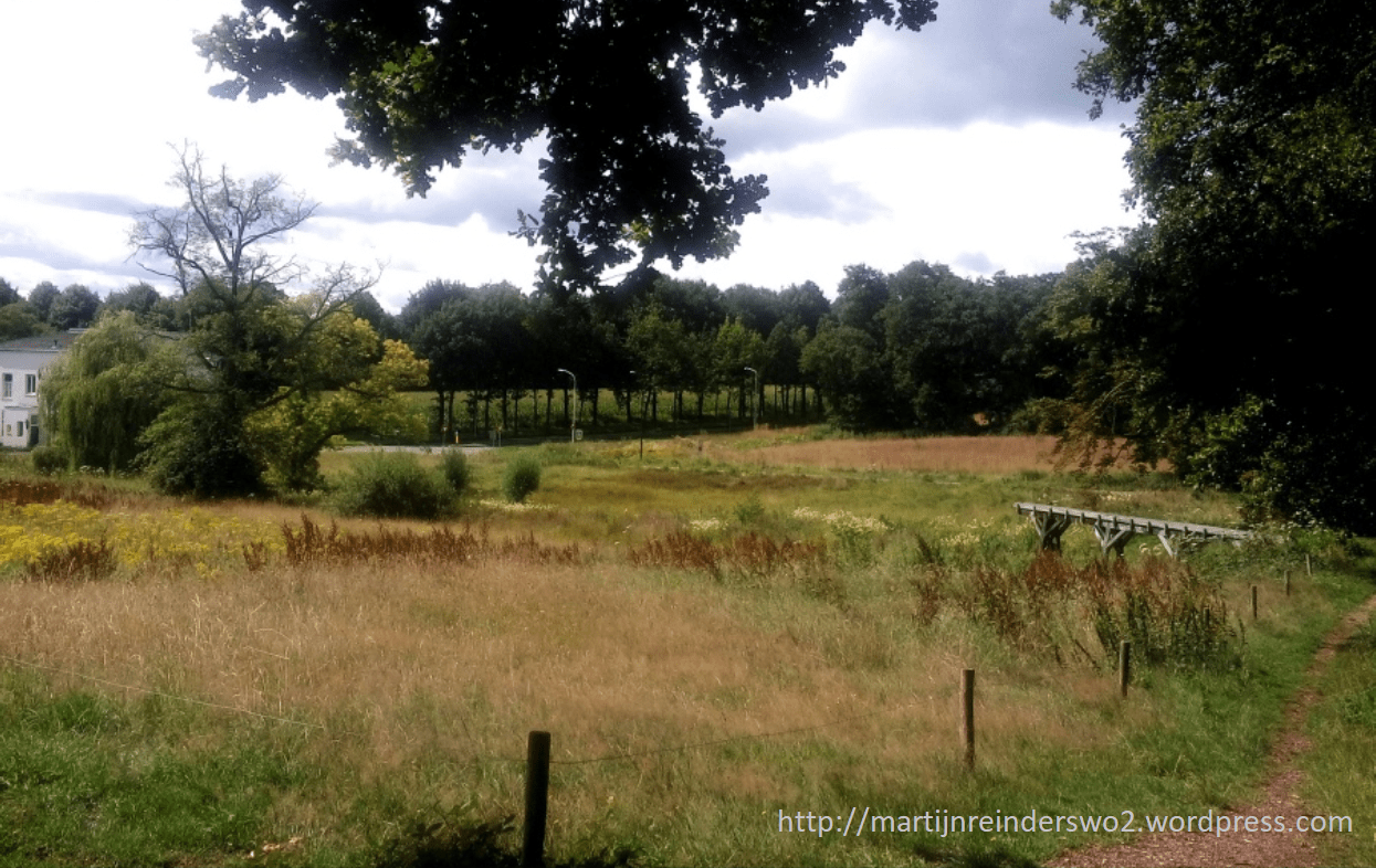 Oorsprong-uitzicht Border Regiment