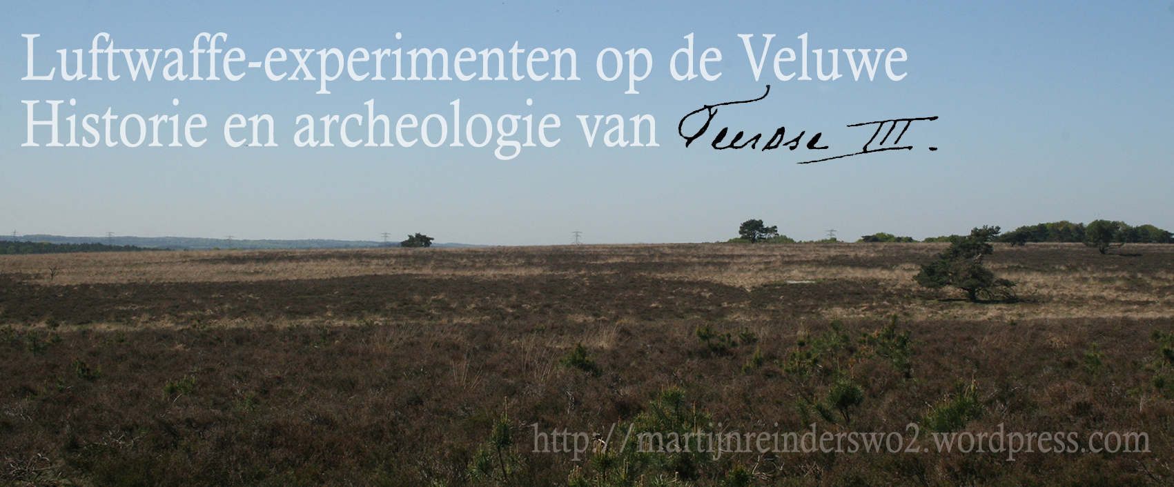 Teerose III rapport banner