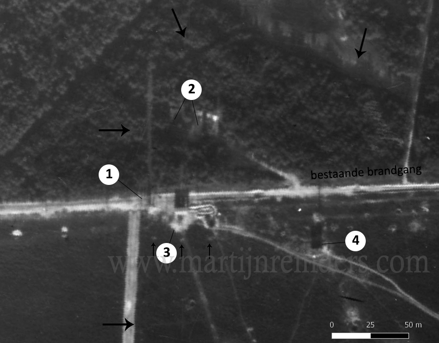 teerose iii lufo freya en poort