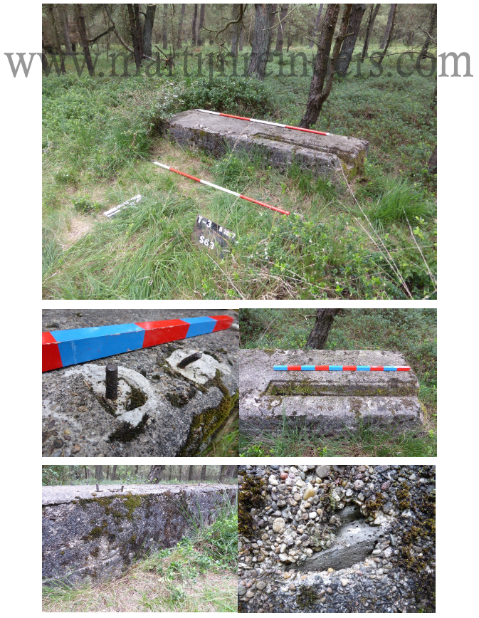 teerose iii sporen freya