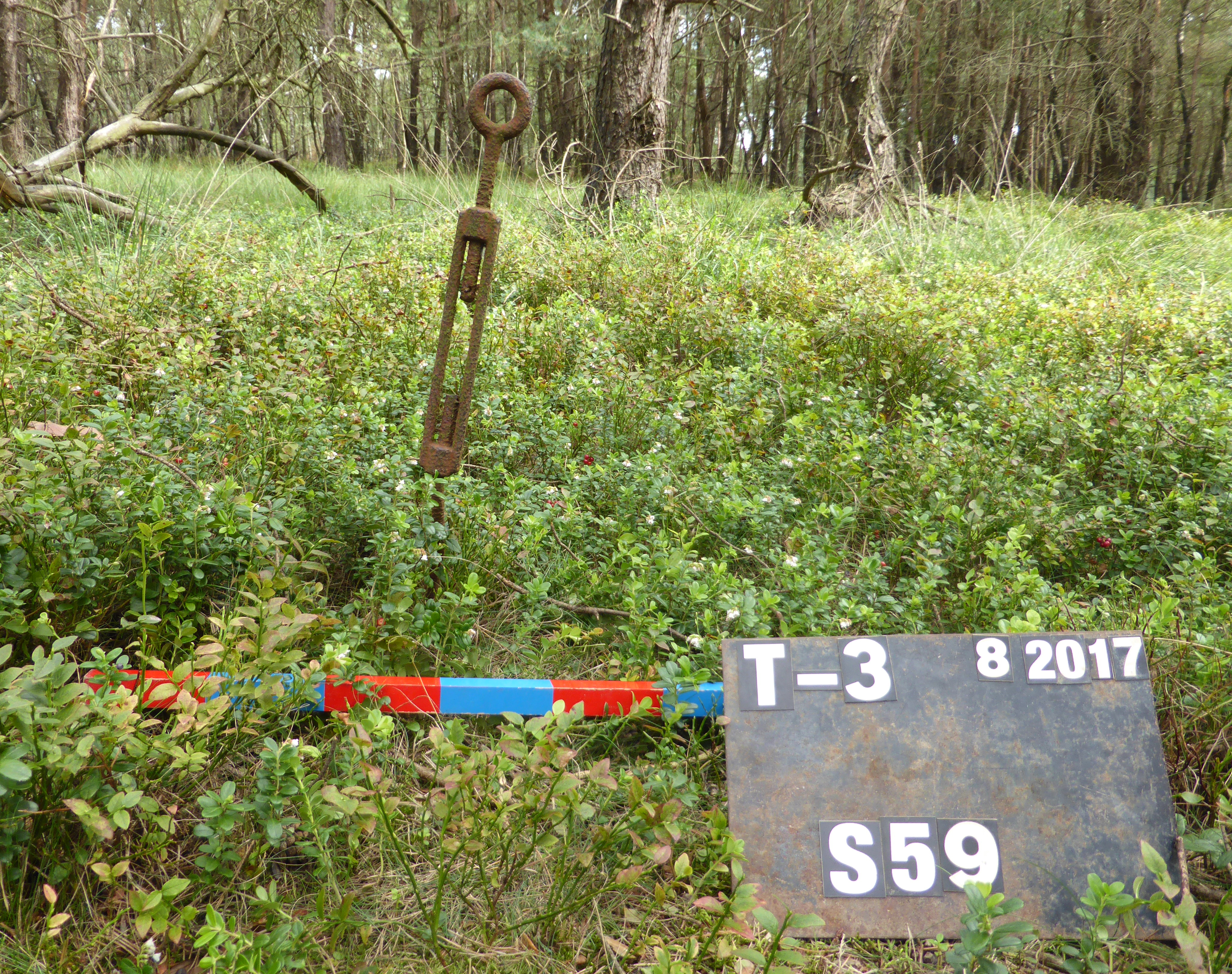 Grondanker tuidraad zendmast 2017